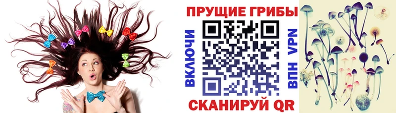 Галлюциногенные грибы мицелий  Купить  Осташков 